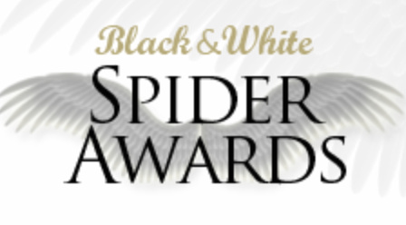13th Annual Black and White Spider Awards - Leading International Awards for Black&White Photography
